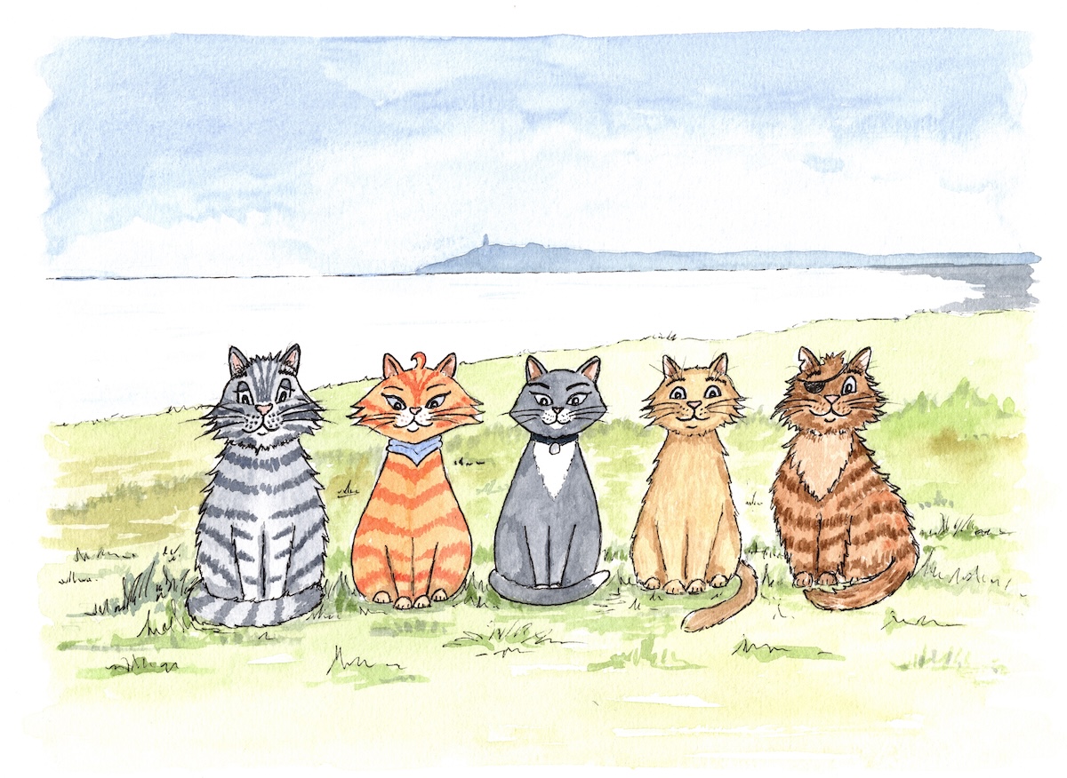 Moggies facing front